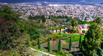 Haifa