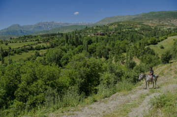 Köyüm