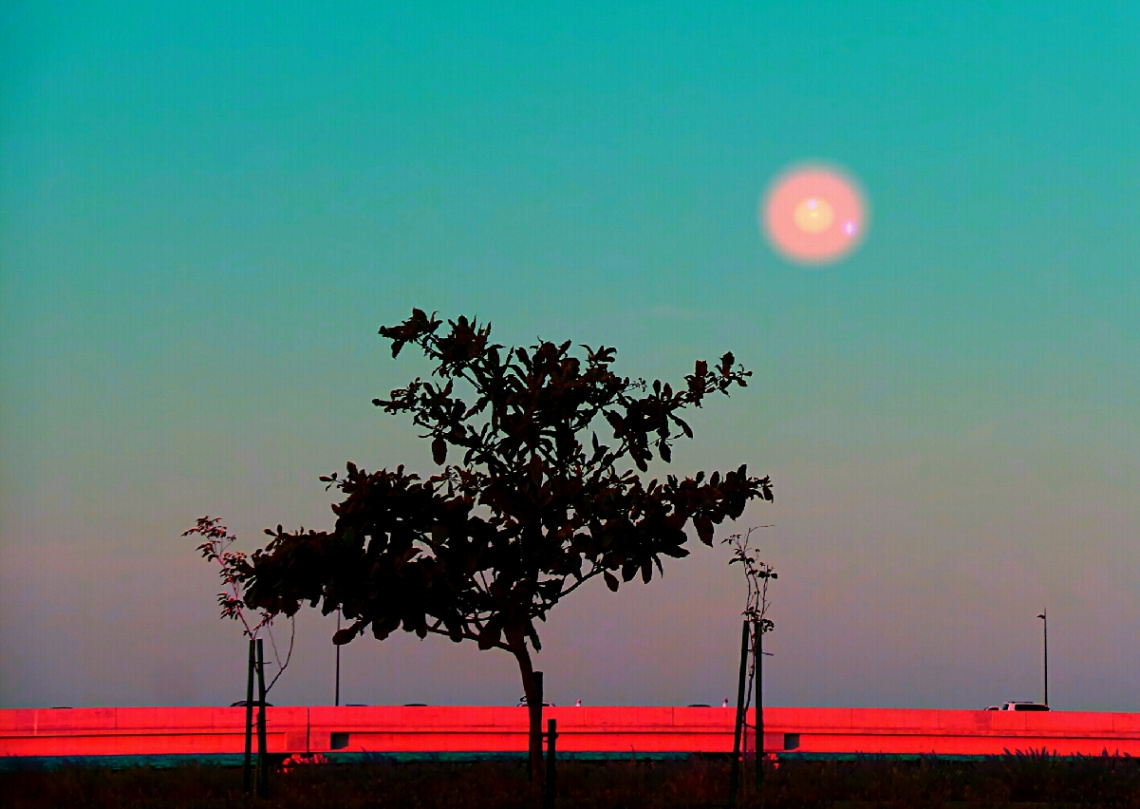 summertime dusk II 