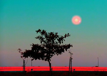 summertime dusk II 