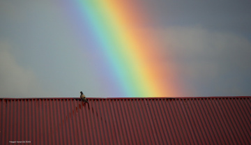 rainbow