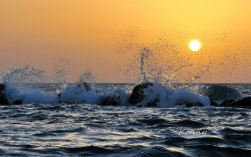 dalgalar hayatını canlanıyor 