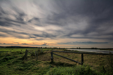 Summer Evening