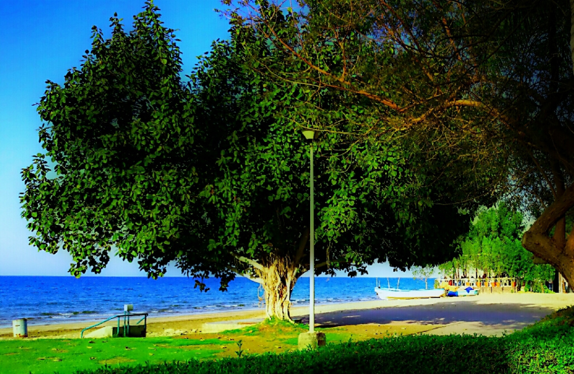 Resting Time @ Mid Noon 