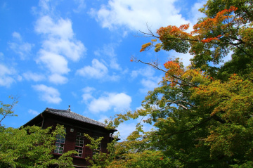 Autumn is found
