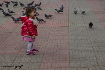 Güvercin Kovalamaca :)