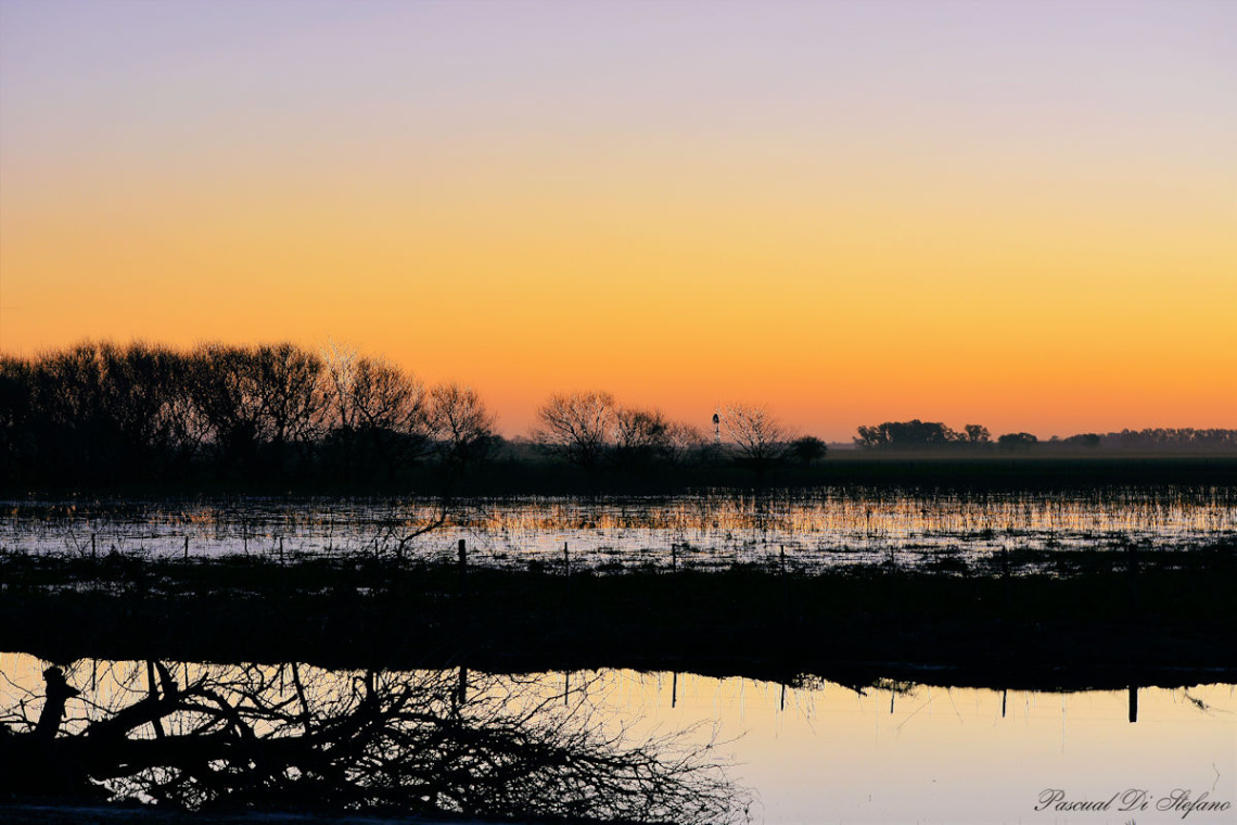 Field, water and sunset