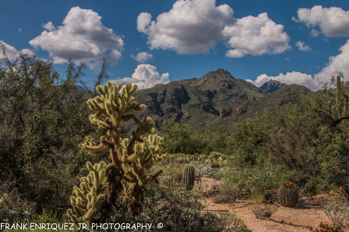 Sabino Canyon In Tucson Arizona  9/6/15