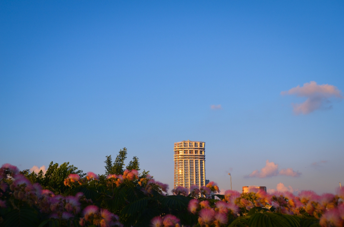 Doğa, betona karşı!