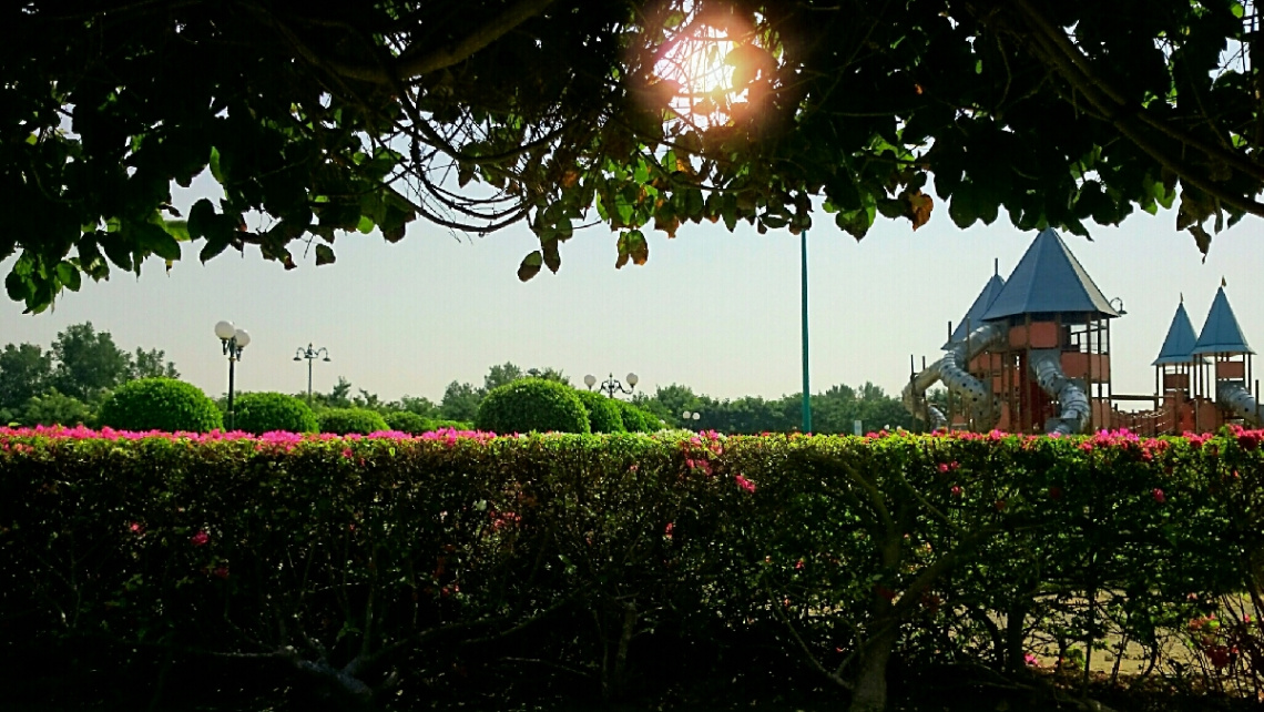 Park 