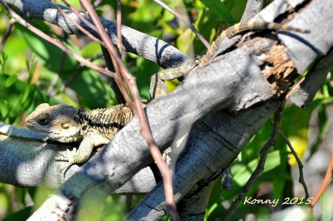 İ can see you ... :)))