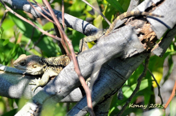 İ can see you ... :)))