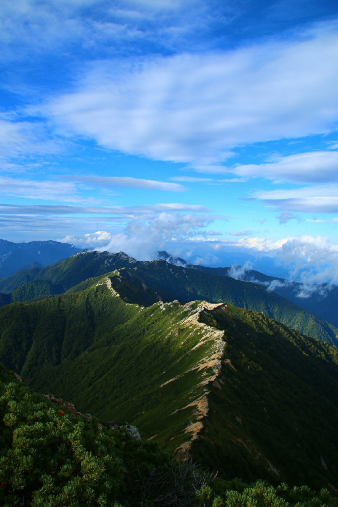 Ridge line