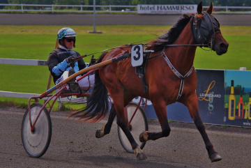 Horse Racing