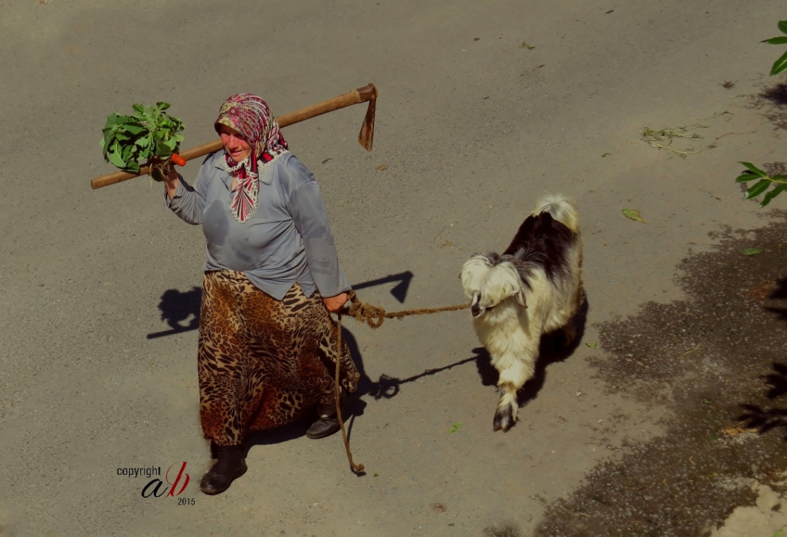 HAYDİ GEL ÇOK İŞİMİZ VAR