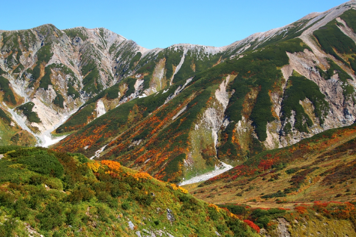 Autumn