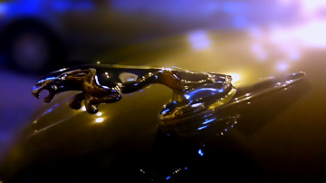 Jaguar 