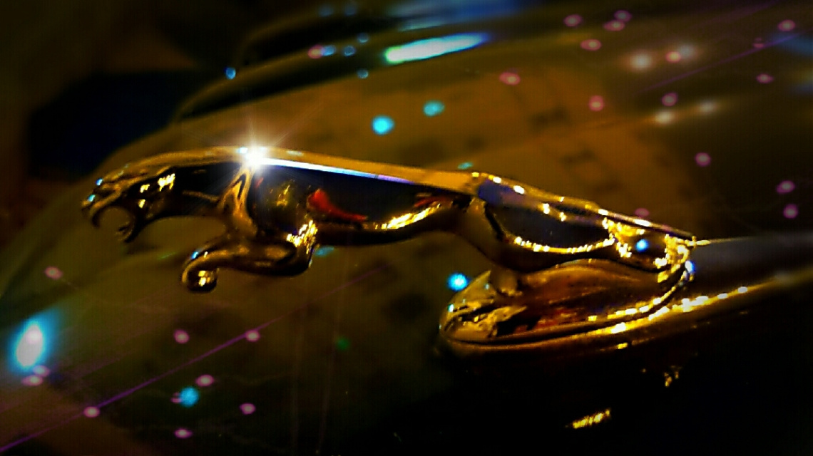 Jaguar 2