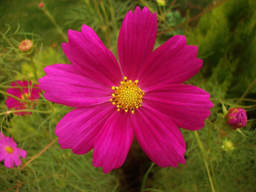 doğa