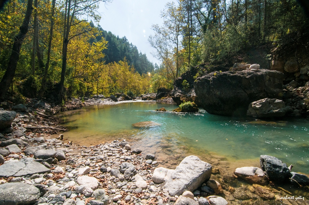 sukünet