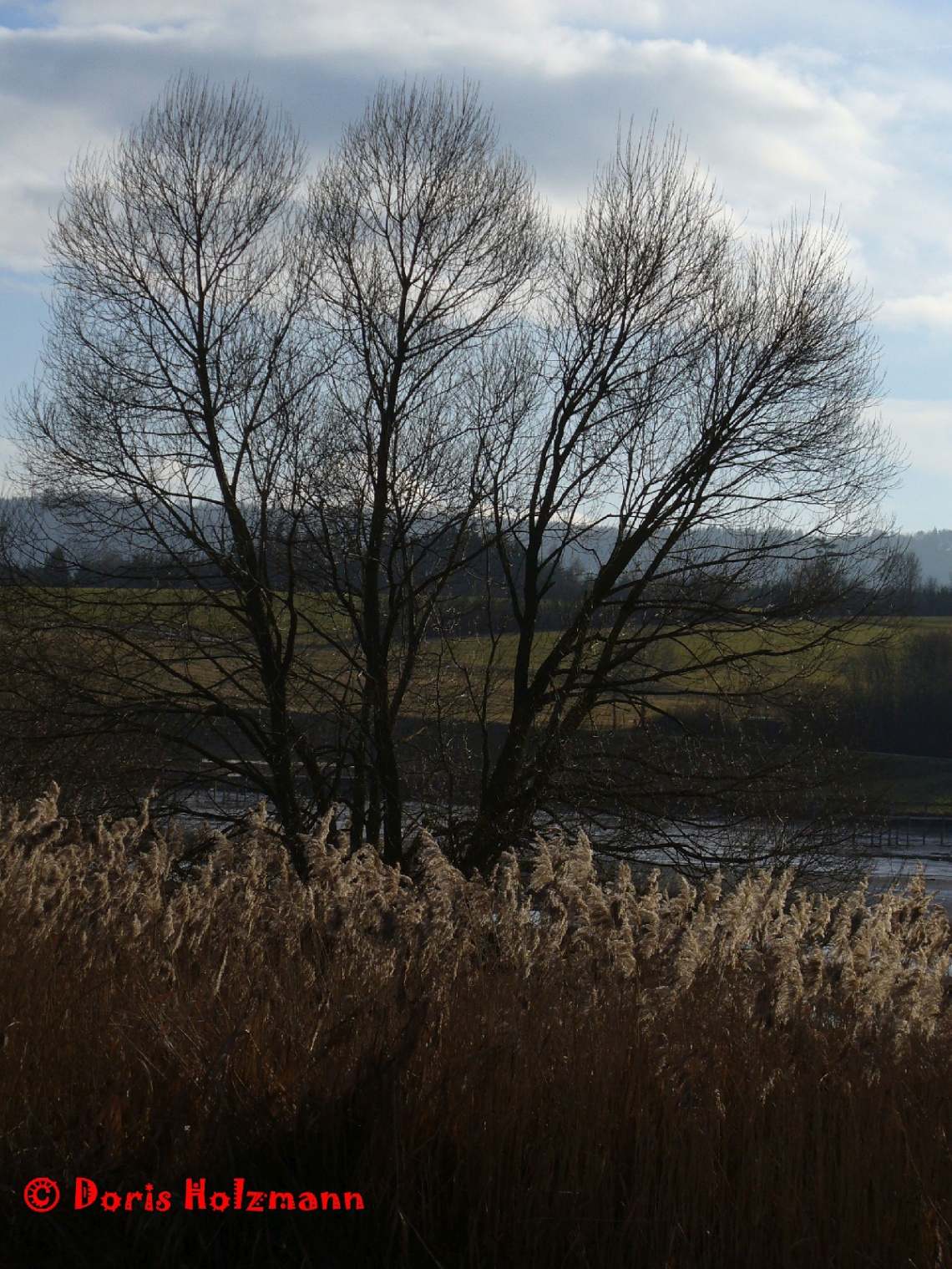 Autumn