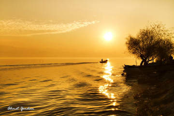 Gölyazı