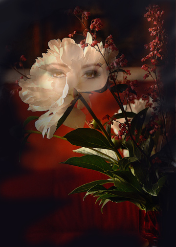 Peonies