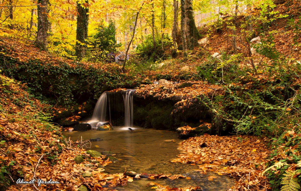 Sonbahar-Autumn