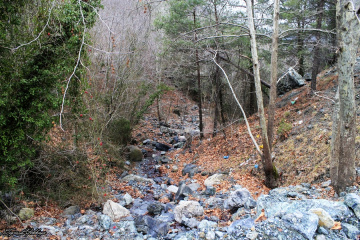 Doğa