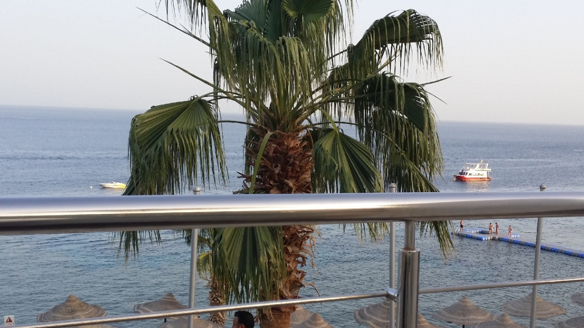 Egypt - Sharm alsheikh 