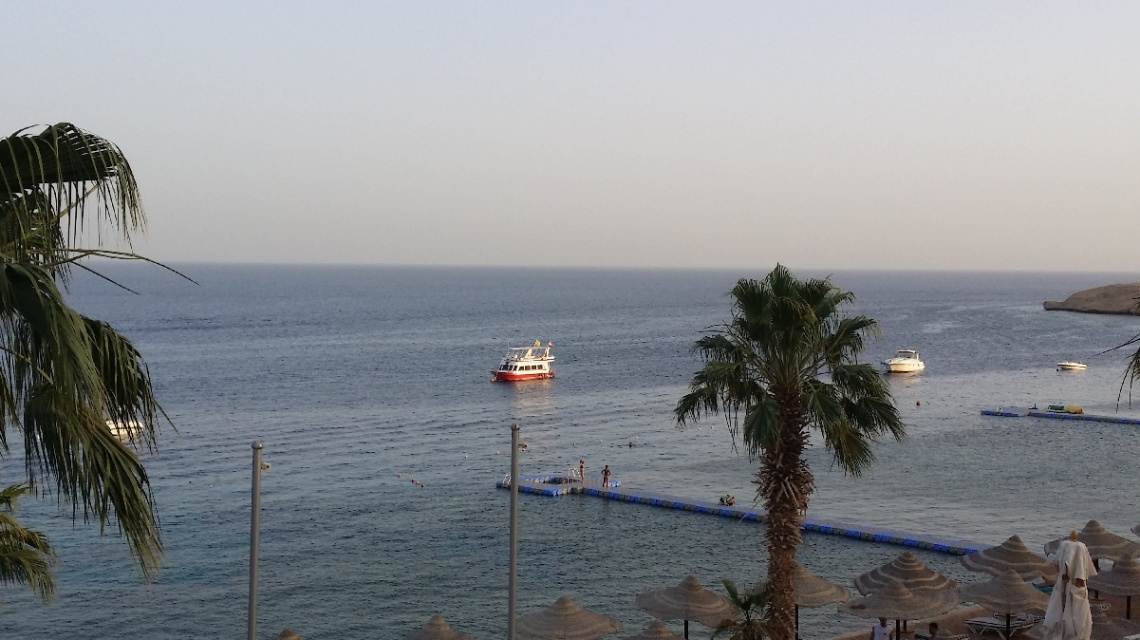 Egypt - Sharm alsheikh