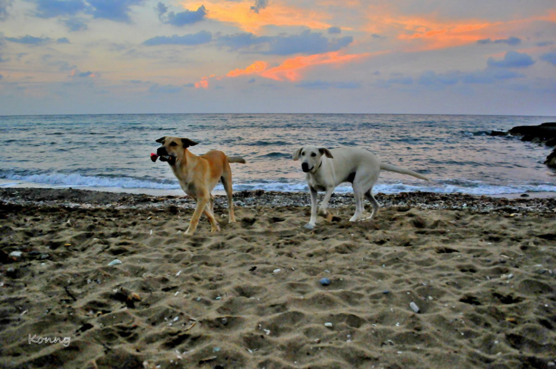 my new friends .. ♥ 