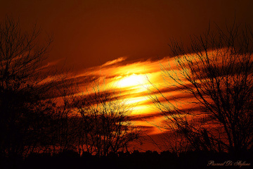 Autumn sunset