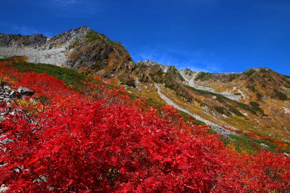 Red!!!!