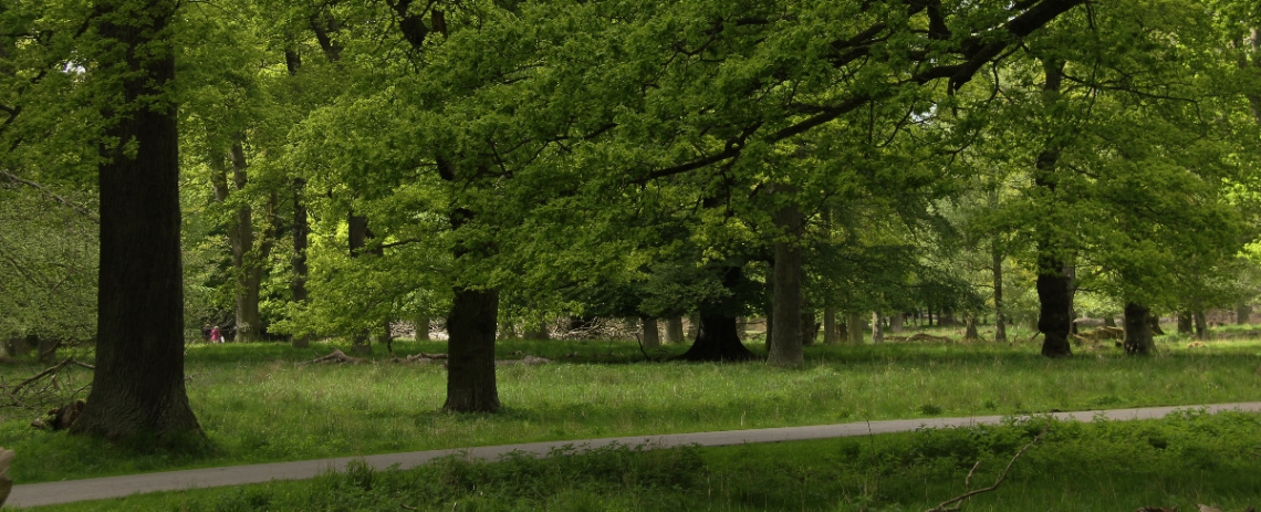 All green