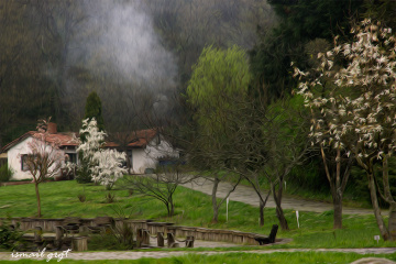 Masal EV...