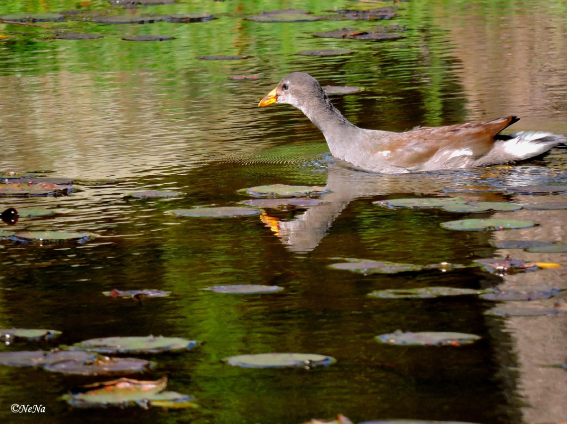 Sliding in the reflection