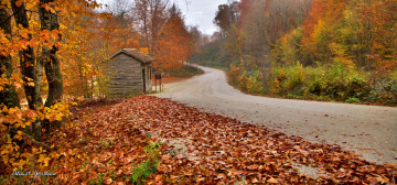 Sonbahar-Autumn
