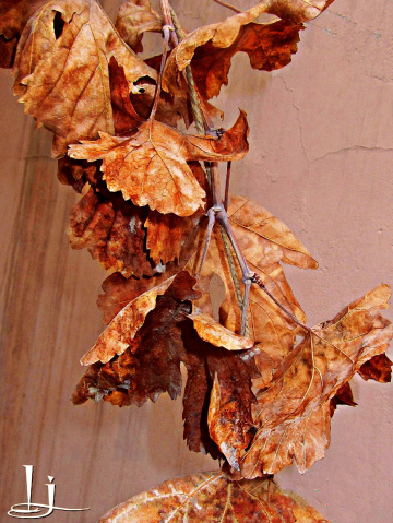 Autumn...Time to rest a while......