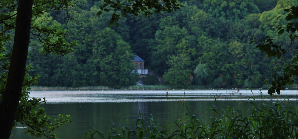 Looking accross the lake