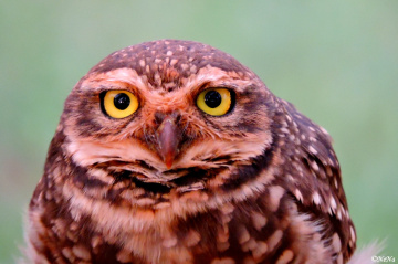 Got my eye on you