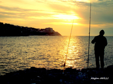 balık zamanı