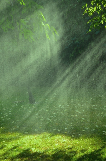 Işığa doğru! ''Toward the light''