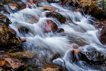 Little River Ilse