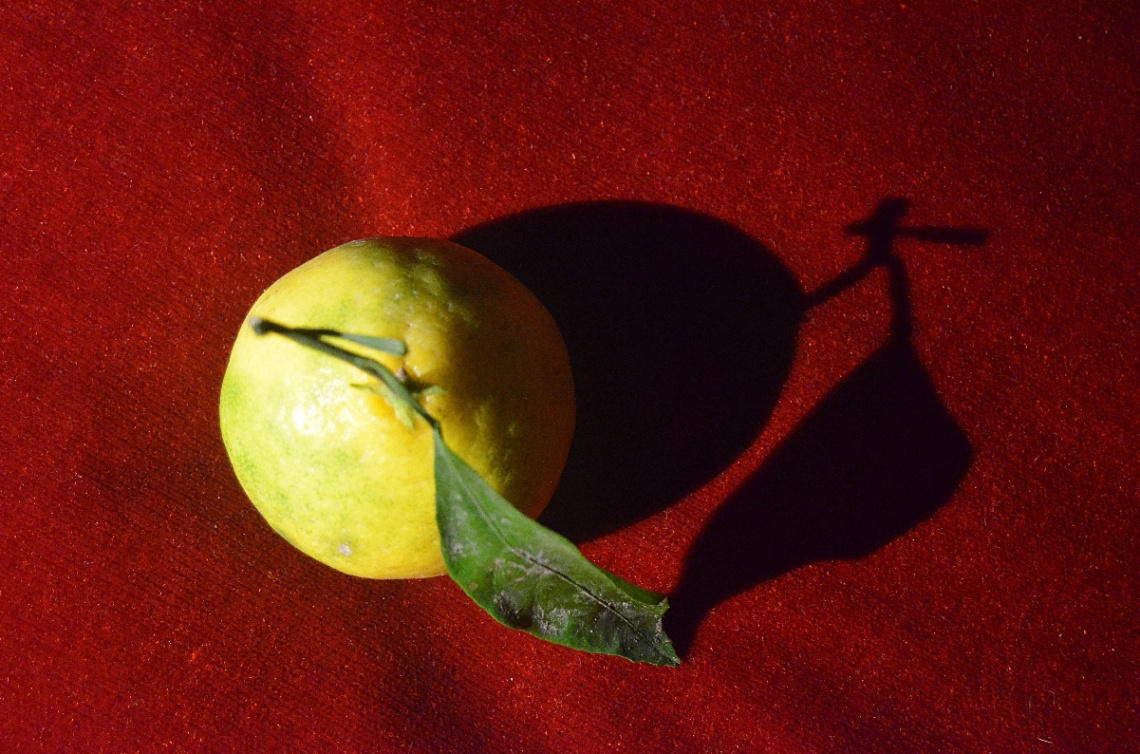Mandalina Kabuğu/Tangerine peel