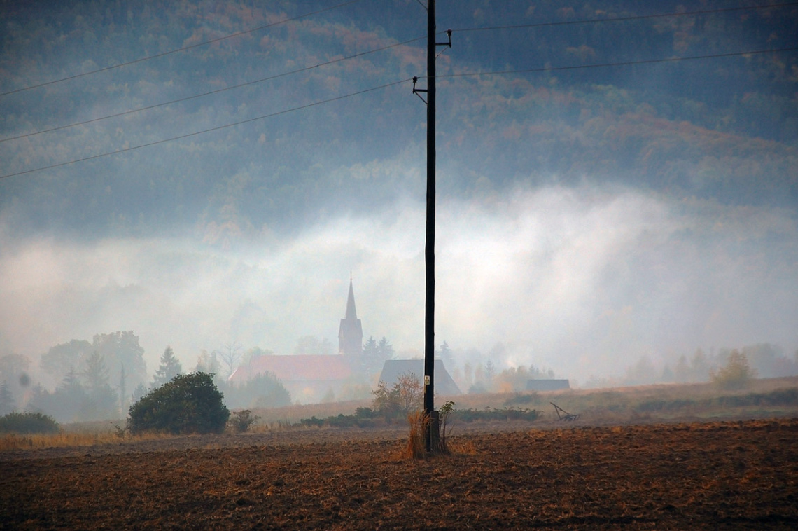 Morning fog in the countryside