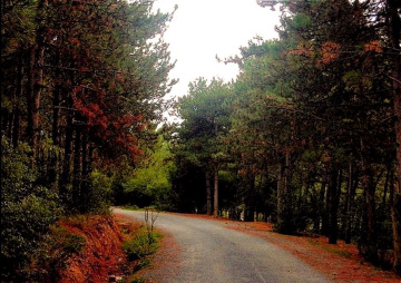 Baharın Son Renkleri