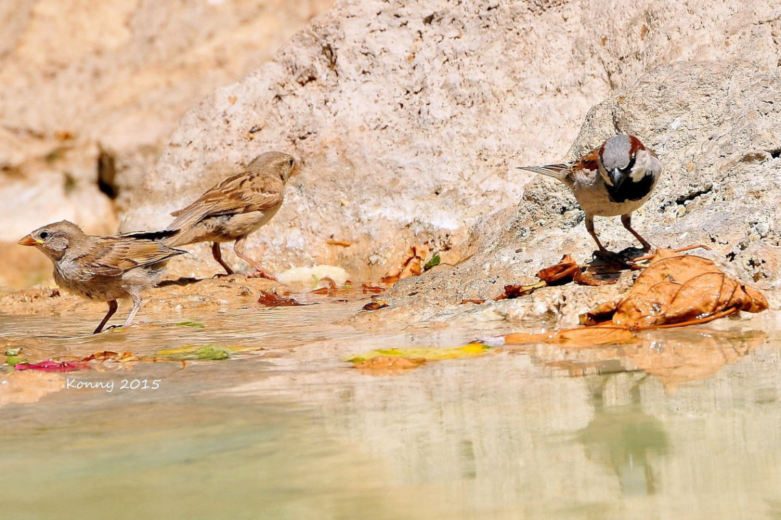 Let's take a bath... :) 