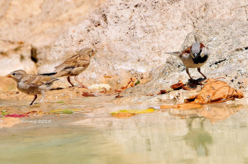 Let's take a bath... :) 