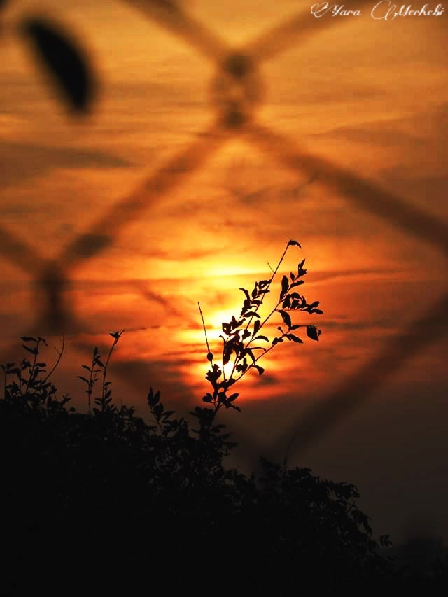 Sunset or fire?